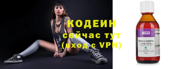 молекула духа Саяногорск