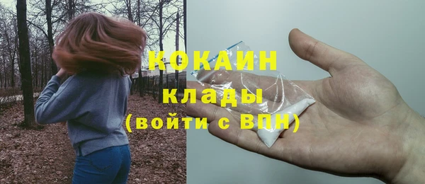 молекула духа Саяногорск