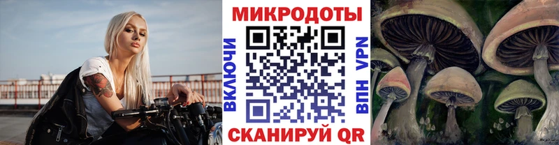 дарнет шоп  гидра   Псилоцибиновые грибы мицелий  Бугуруслан 
